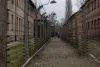 Riasztó kutatás a holokausztról: ezt gondolja az emberek többsége