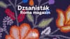 Dzsanisták - Roma magazin