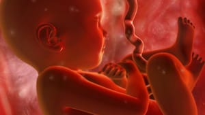 Oklahoma új törvénye a fogantatás pillanatától tiltja az abortuszt