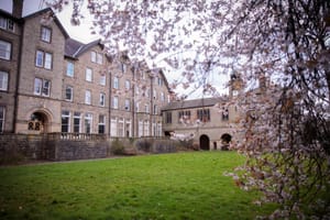 Keresztény főiskola rúgta ki tanárát, mert a homoszexualitást bűnnek nevezte