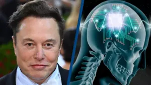 Zöld utat kapott Musk agyba ültethető chipje