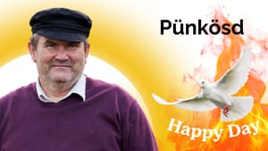 Happy Day - 2024. 05. 20.