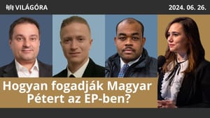 Mire elég a svájci békekonferencia? - Kiszelly, Üveges, Yaro
