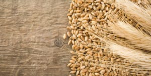 Izrael: a háború ellenére kedden megkezdődött a Hetek Ünnepe