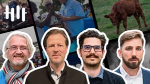 🔴⚪🟢 Forradalmi napok a Hit Gyülekezetében