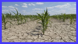 Óriási problémák előtt a magyar mezőgazdaság? - Pinke Zsolt