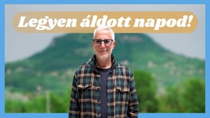 Sugár András: Az olajprés - Legyen áldott napod!