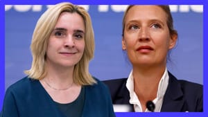 Betiltott szövetségek: AFD és Fidesz közeledésének titkai - Rehák-Rimaszombati Andrea