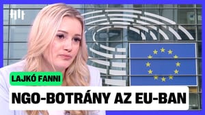NGO-k a célkeresztben: Brüsszel elfoglalása elkezdődőtt? - Lajkó Fanni