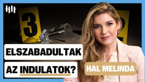 Miért tombol az erőszak Magyarországon? - Hal Melinda